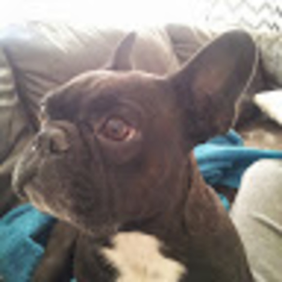 Meet your Posher, Xtina - Picture 1 of 1